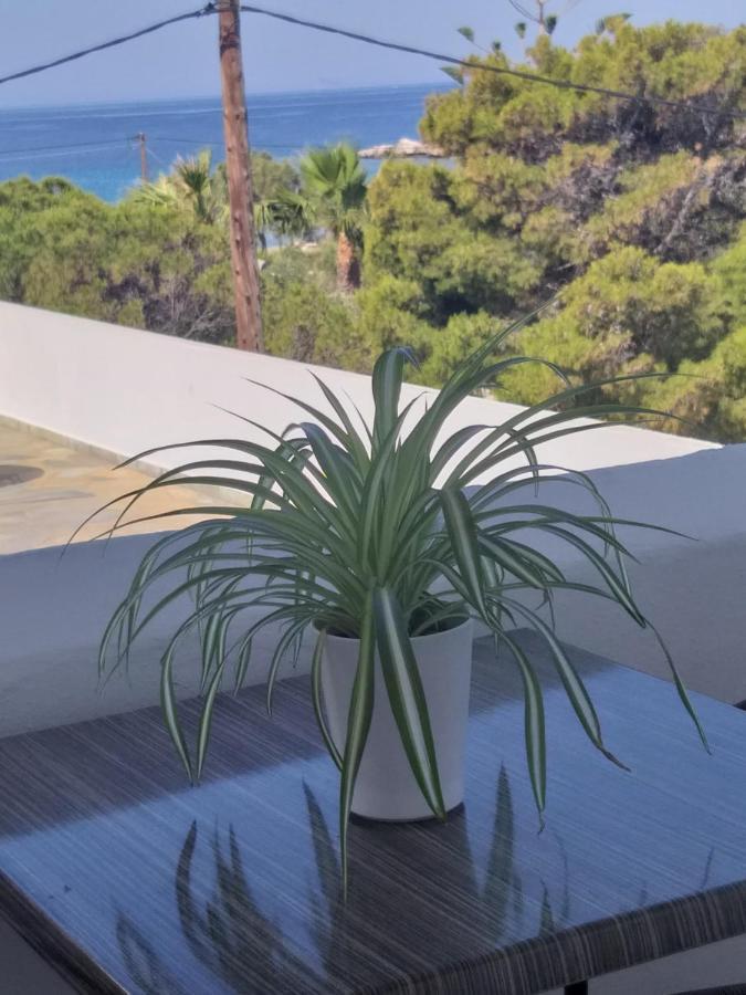 Apartamento Meltemi Posidhonía Exterior foto